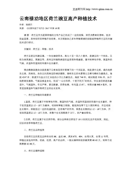 云南禄劝地区荷兰豌豆高产种植技术