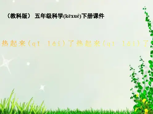 教科版五年级下册科学《热起来了》教学课件