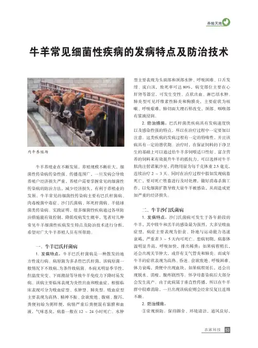 牛羊常见细菌性疾病的发病特点及防治技术