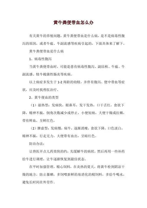 黄牛粪便带血怎么办