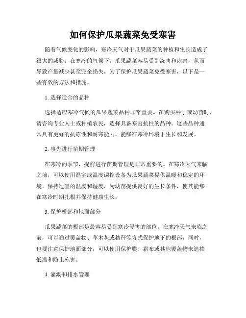 如何保护瓜果蔬菜免受寒害
