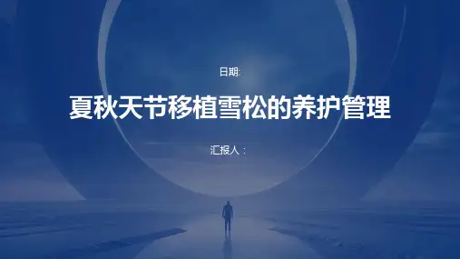 夏秋天节移植雪松的养护管理