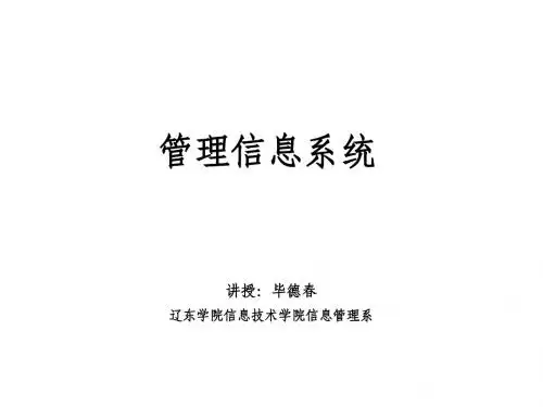第10章-流程信息系统