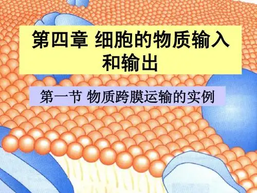 4.1物质跨膜运输实例