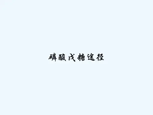 磷酸戊糖途径-