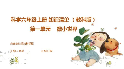 第一单元 (复习课件)科学六年级上册(教科版)