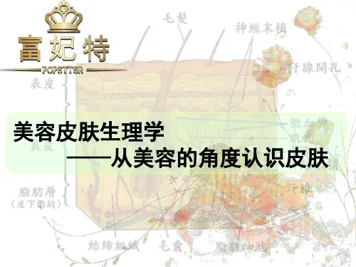 皮肤生理学