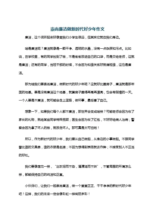 崇尚廉洁做新时代好少年作文