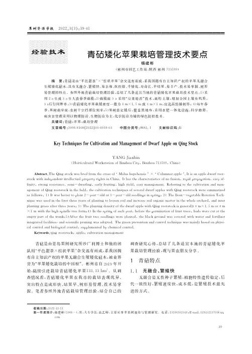 青砧矮化苹果栽培管理技术要点