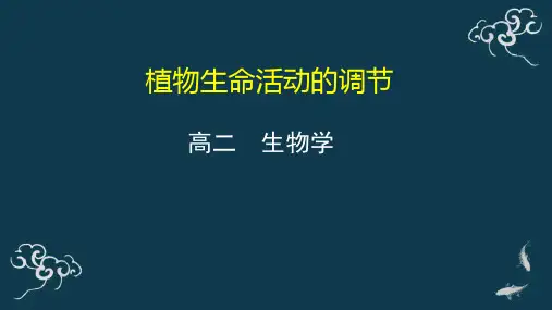 植物生命活动的调节 课件-2020年秋高中生物人教版(2019)选择性必修一
