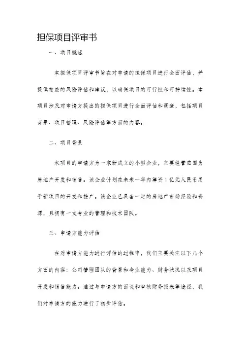 担保项目评审书