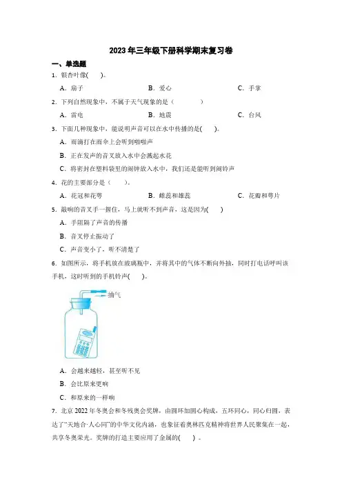 2023年三年级下册科学期末复习卷