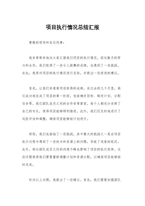 项目执行情况总结汇报