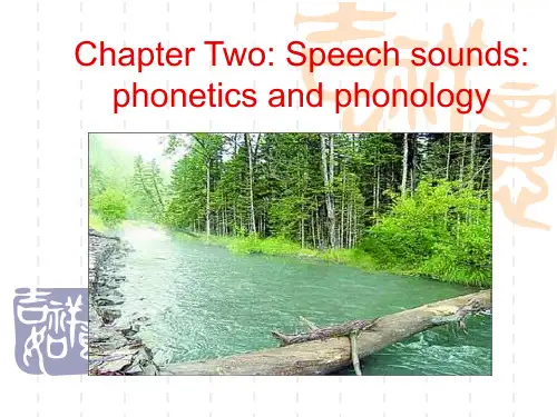 语言学教程课件2 Phonetics and Phonology