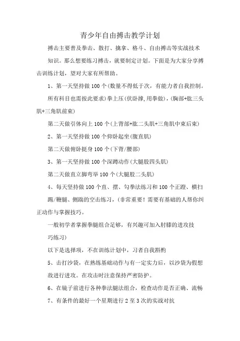 青少年自由搏击教学计划