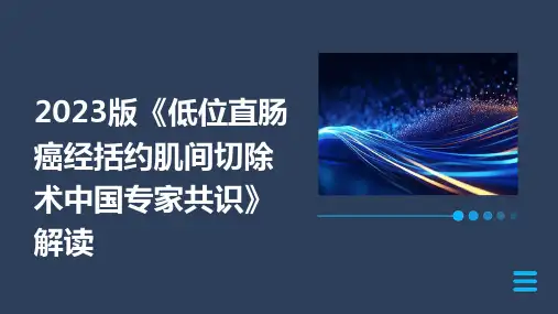 2023版《低位直肠癌经括约肌间切除术中国专家共识》解读ppt课件