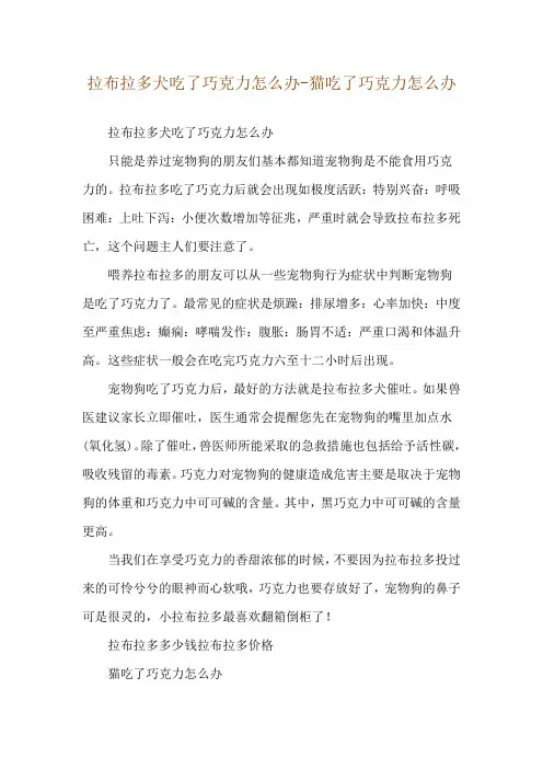 拉布拉多犬吃了巧克力怎么办-猫吃了巧克力怎么办