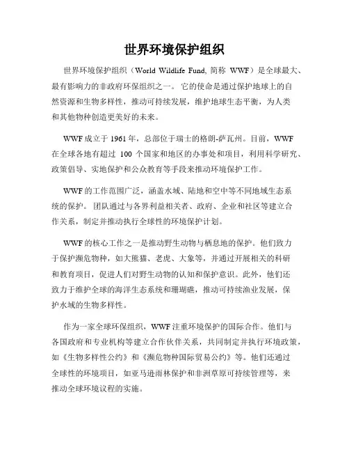 世界环境保护组织