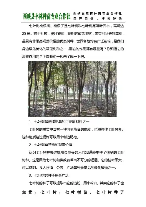 七叶树的作用有哪些？