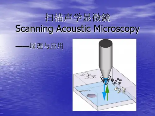 扫描声学显微技术_原理与应用