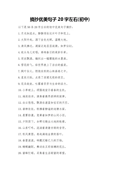 摘抄优美句子20字左右(初中)