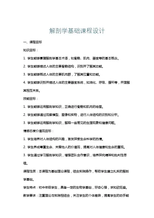 解剖学基础课程设计