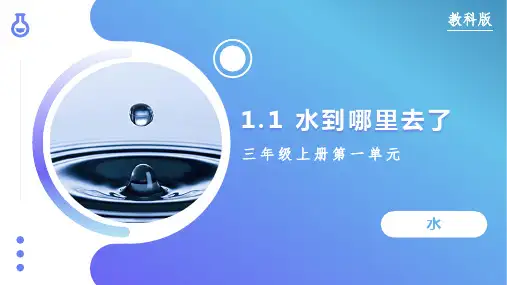 1.1 水到哪里去了(课件)-三年级科学上册(教科版)