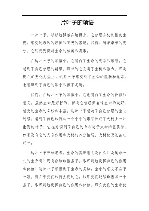 一片叶子的领悟