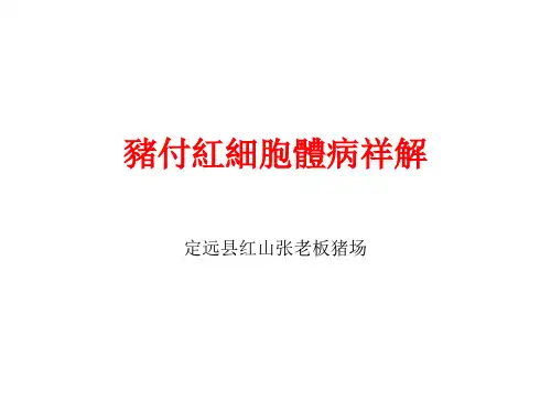 猪付红细胞体病祥解