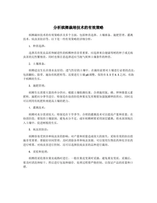 分析槟榔栽培技术的有效策略