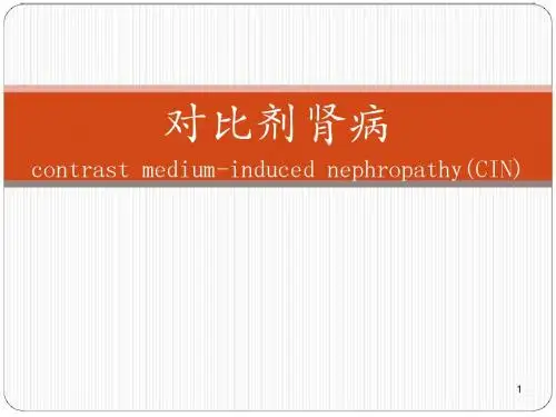 碘对比剂肾病指南及中国专家共识ppt课件