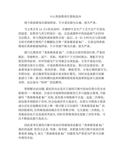 小心黄曲霉毒在猪场逞凶
