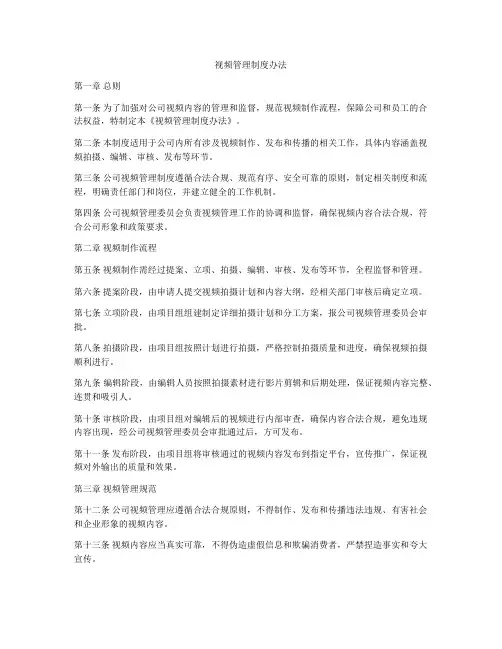 视频管理制度办法