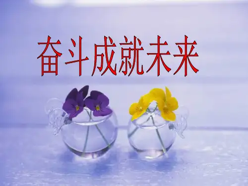 九年级政治 奋斗成就未来课件 人民