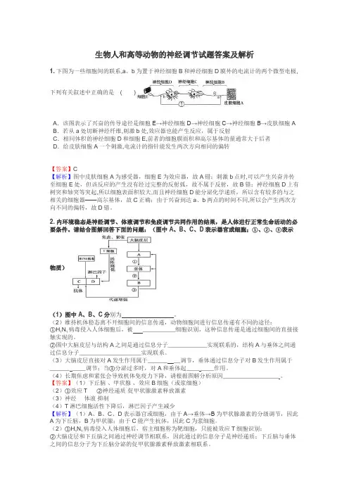 生物人和高等动物的神经调节试题答案及解析

