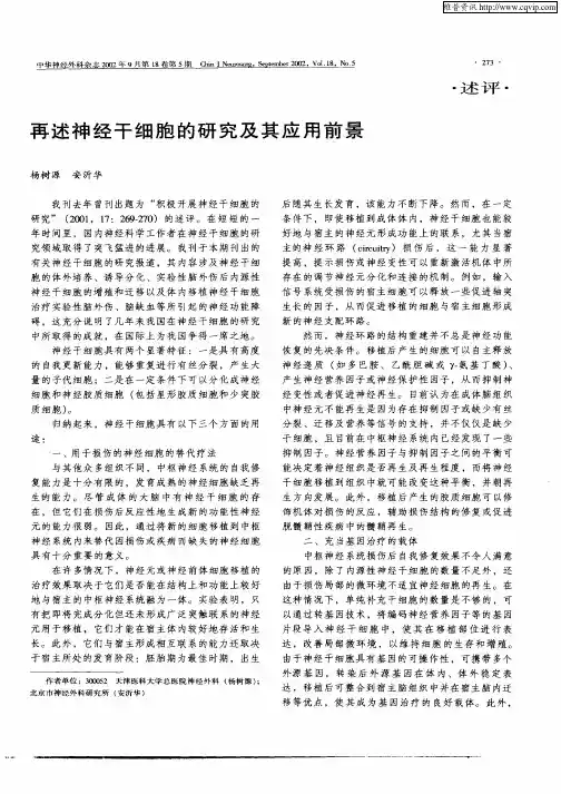 再述神经干细胞的研究及其应用前景