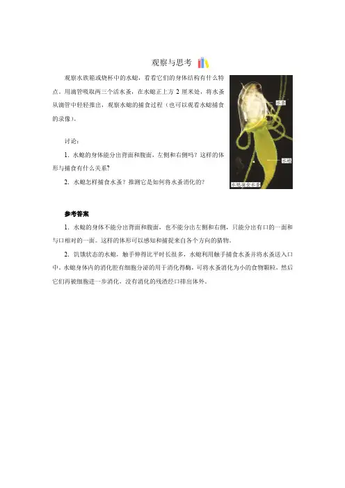 【知识解析】观察与思考(水螅)