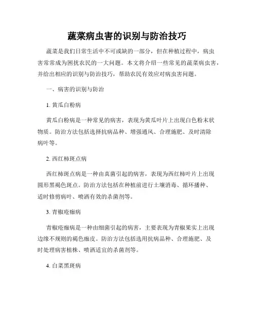 蔬菜病虫害的识别与防治技巧