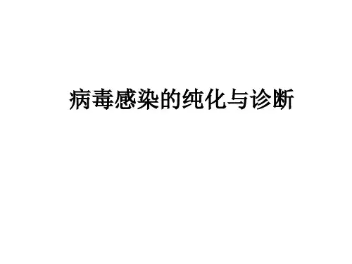 病毒的纯化和检测.ppt