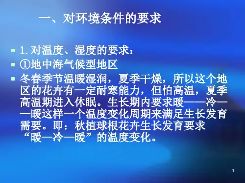 花卉栽培技术球根花卉球根花卉生物学特性能
