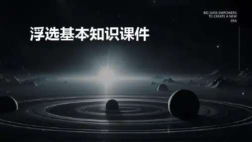 浮选基本知识课件