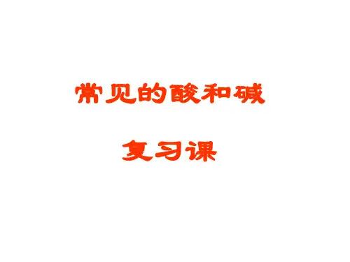 第十单元 酸和碱 复习 -人教版九年级下册化学课件(共21张PPT)