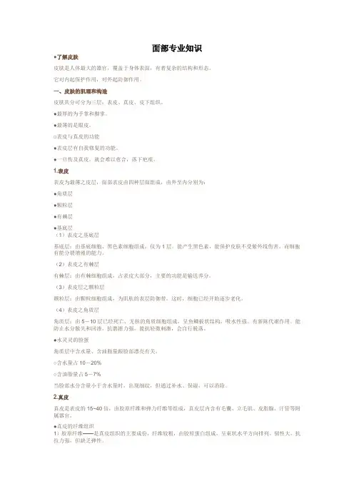 面部专业知识