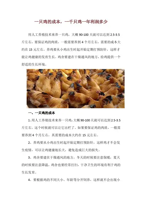 一只鸡的成本,一千只鸡一年利润多少