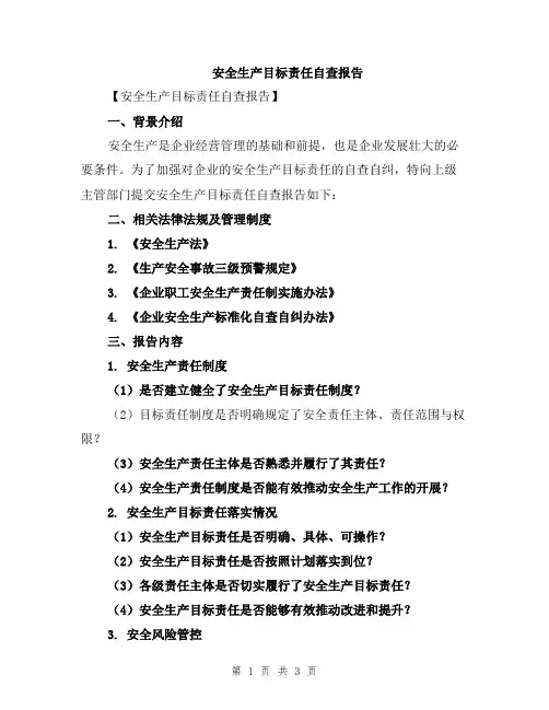 安全生产目标责任自查报告