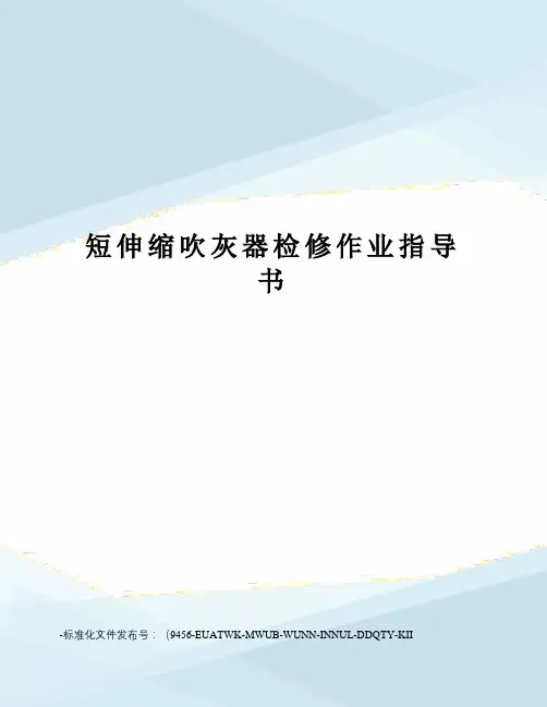 短伸缩吹灰器检修作业指导书