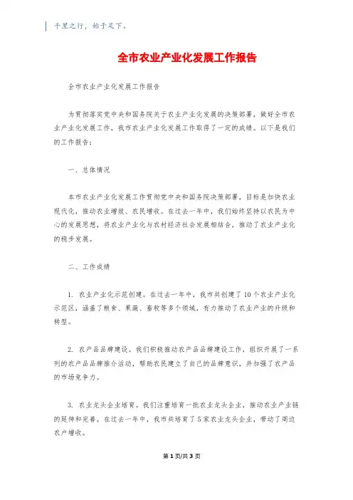 全市农业产业化发展工作报告