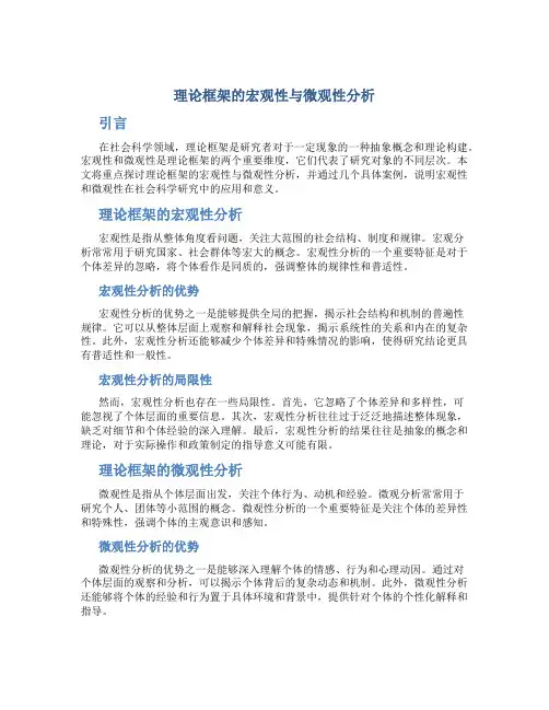 理论框架的宏观性与微观性分析