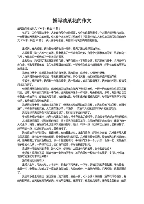 描写油菜花的作文300字（精选11篇）