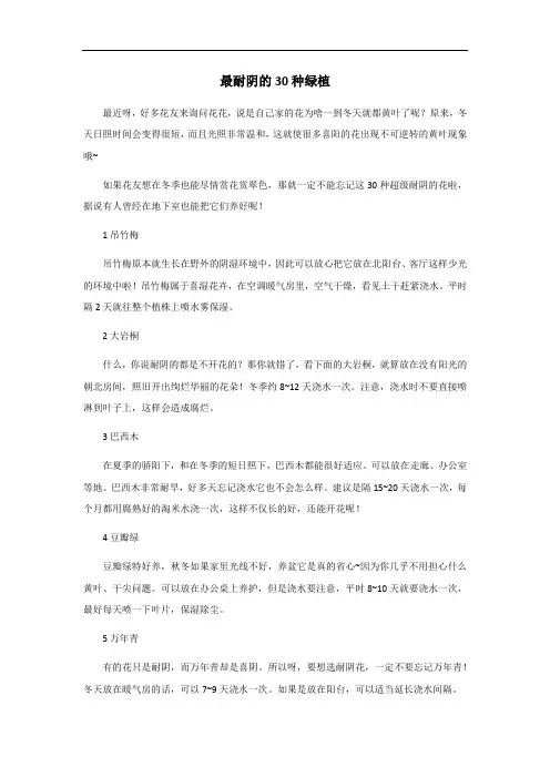 最耐阴的30种绿植